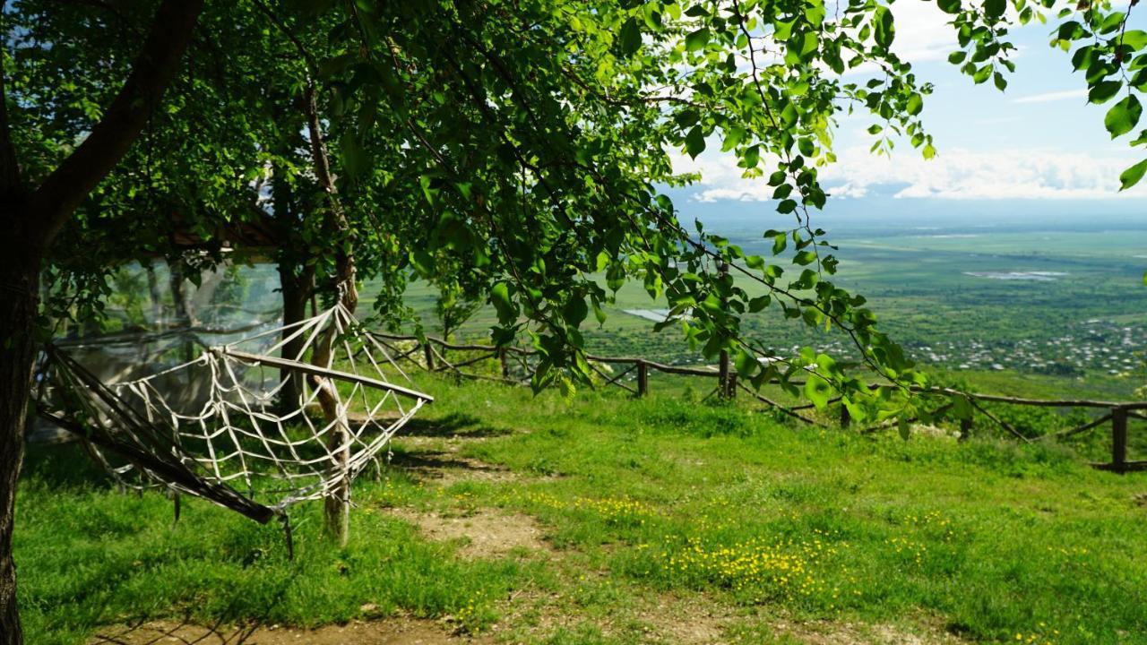 Tsanava'S Cottage In Signagi Exterior foto